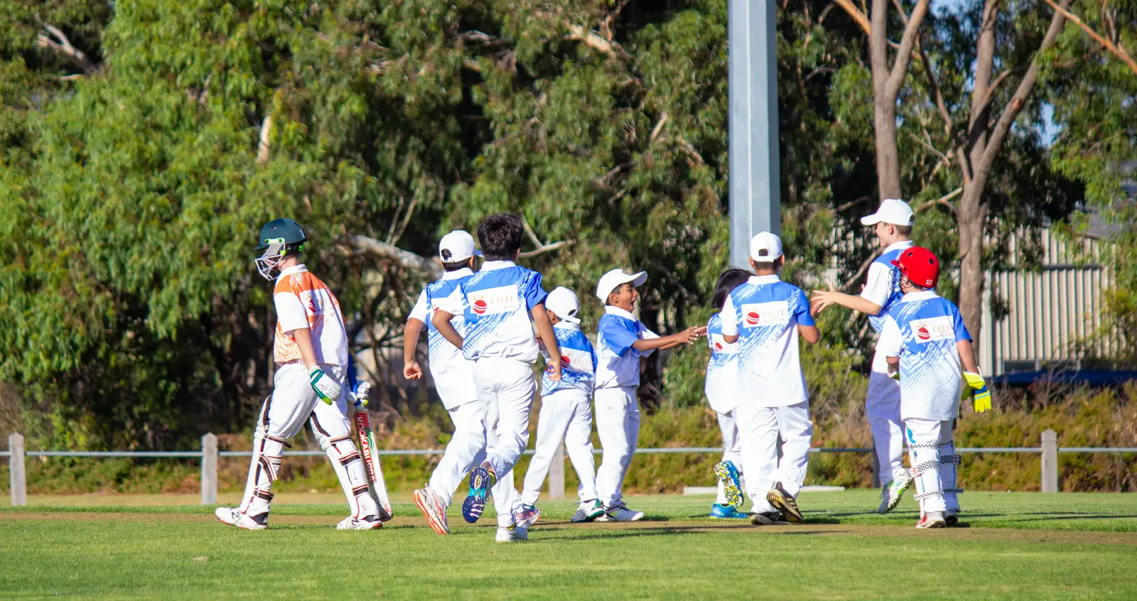 Young Elite players celebrating a wicket at a VECL match